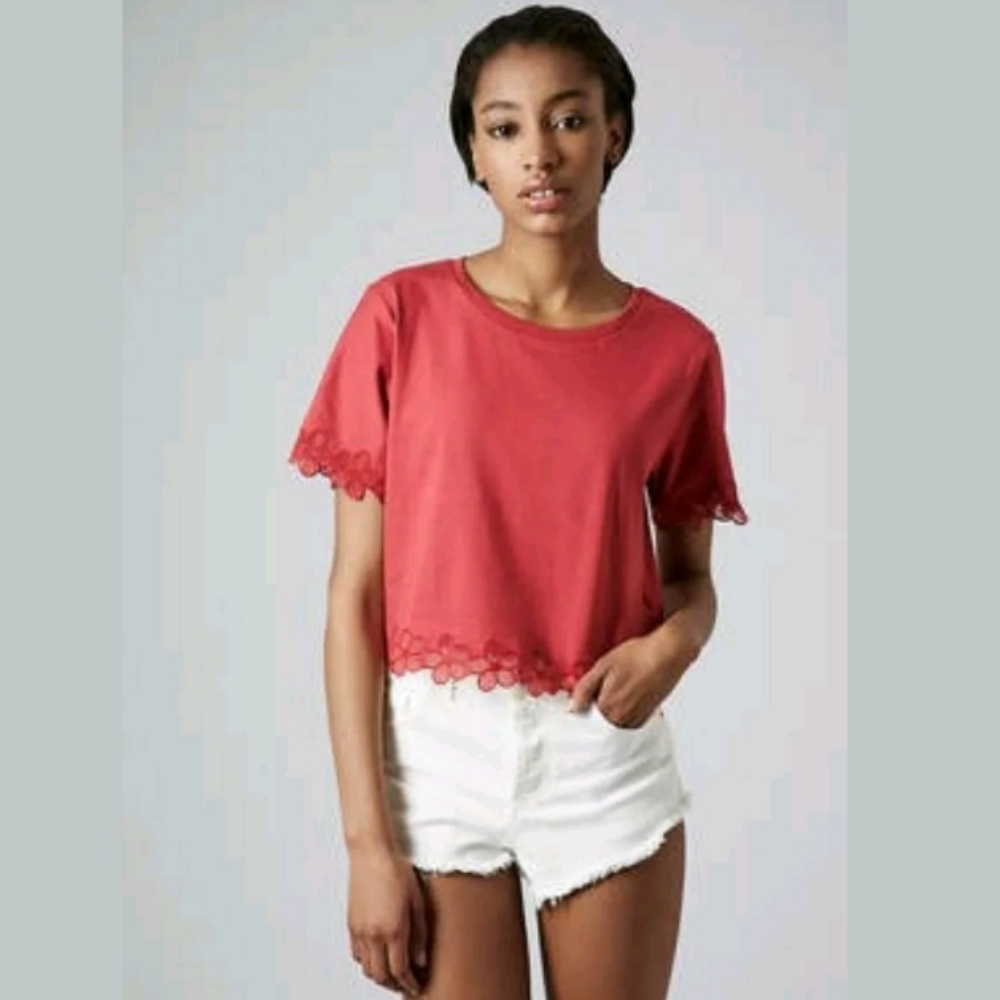 Topshop Daisy Organza Tee Cropped Floral Top